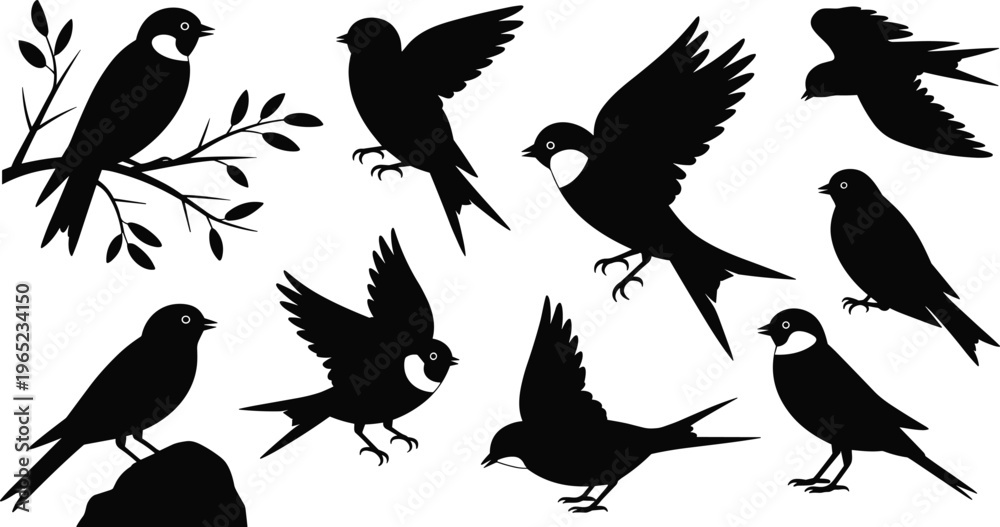 Fototapeta premium Bird silhouettes collection with flying and perched birds on branches, wildlife nature set isolated on white background for design and decoration