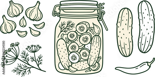 Pickled cucumber set outline sketch vector illustration