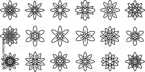 Black and white flower pattern with 16 identical flowers line floral symmetry