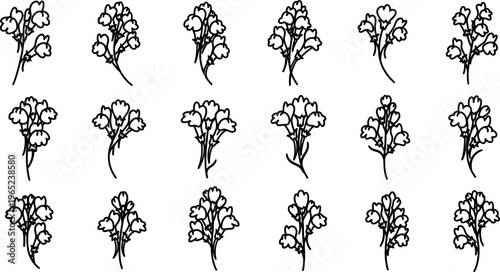 Black and white line floral sprigs with bell shaped flowers botanical nature 1