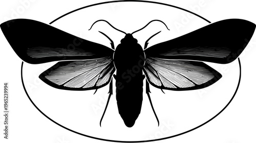 Black and white graphic depiction of a moth inside an oval border