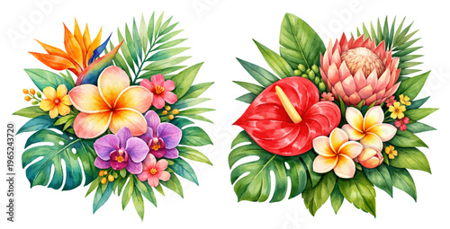 Watercolor tropical floral bouquet collection illustration, exotic flower arrangements with plumeria orchid anthurium and tropical leaves isolated on white background.