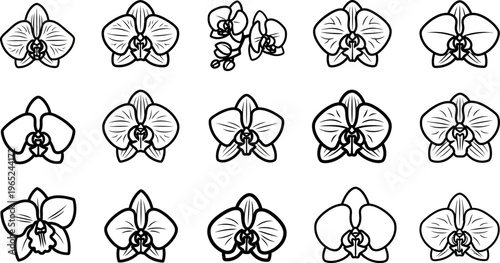 Black and white orchid flower line floral symbol