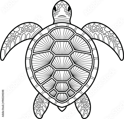 Black and white line of a sea turtle with patterned shell and flippers