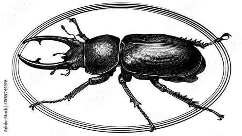 Etched insect in oval frame, detailed in black and white, displaying six legs