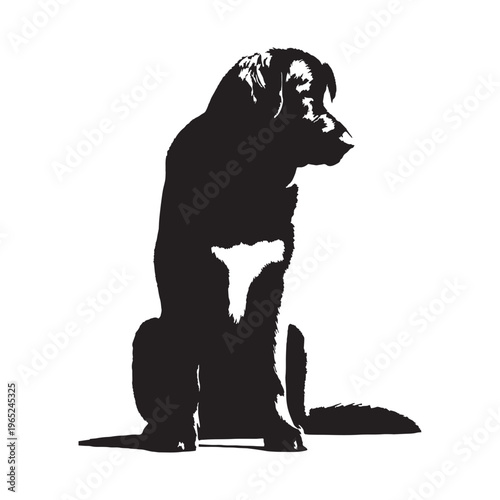 Uzbek Shepherd Dog strong guardian breed, loyal protector, Central Asian heritage, powerful working dog, brave livestock defender, intelligent, fearless, family guardian, large muscular build.