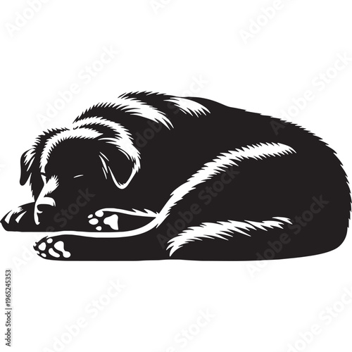 Uzbek Shepherd Dog strong guardian breed, loyal protector, Central Asian heritage, powerful working dog, brave livestock defender, intelligent, fearless, family guardian, large muscular build.