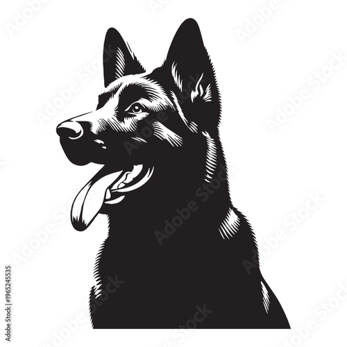 Uzbek Shepherd Dog strong guardian breed, loyal protector, Central Asian heritage, powerful working dog, brave livestock defender, intelligent, fearless, family guardian, large muscular build.