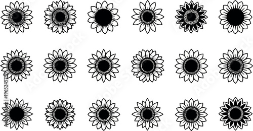 Black and white sunflowers in rows white background floral