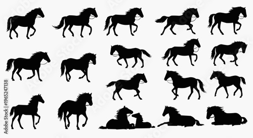 Horse silhouettes vector collection set of horses