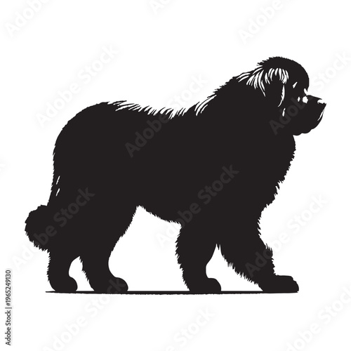 Pyrenean Mastiff giant guardian dog, gentle giant, loyal protector, Spanish mountain breed, livestock guardian, calm temperament, powerful build, family companion, brave watchdog, thick coat.