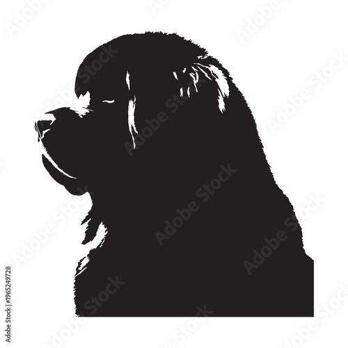 Pyrenean Mastiff giant guardian dog, gentle giant, loyal protector, Spanish mountain breed, livestock guardian, calm temperament, powerful build, family companion, brave watchdog, thick coat.