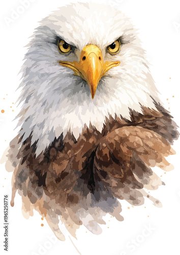 A close-up of a bald eagle's head and upper body watercolor illustration