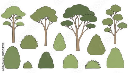 Vector illustration of various trees and bushes in CAD design style landscape