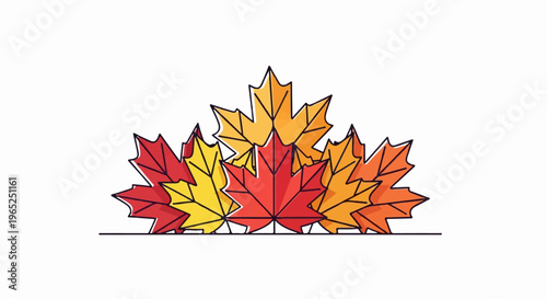 A fan of colorful maple leaves in red, yellow, and orange hues