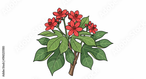 A stylized depiction of a flowering plant with vibrant red blossoms and lush green foliage