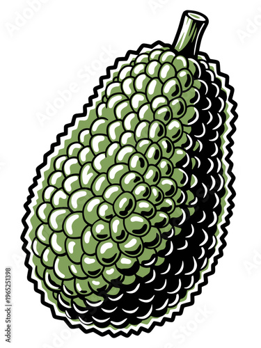 Jackfruit vector illustration. Exotic tropical fruit graphic design. Bumpy green skin texture isolated on white. Healthy organic food icon.