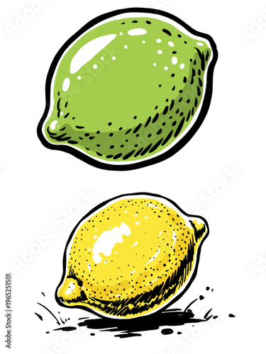 Photography Fresh lemon and lime illustration