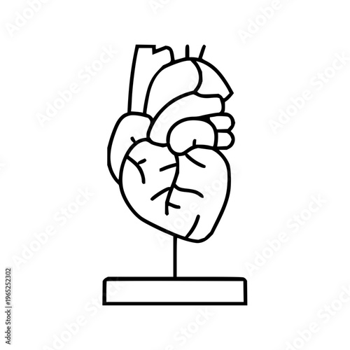 Anatomical human heart illustration with major arteries and veins visible, presented on a simple stand