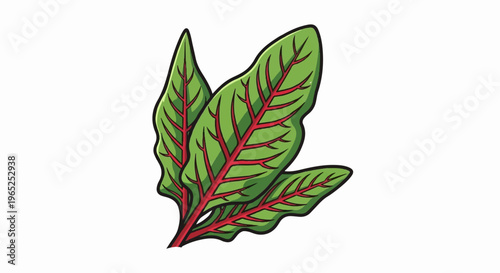 Illustration of a bunch of green swiss chard leaves with red veins