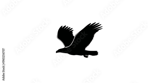 A striking black silhouette of a bird in flight, wings outstretched against a white backdrop