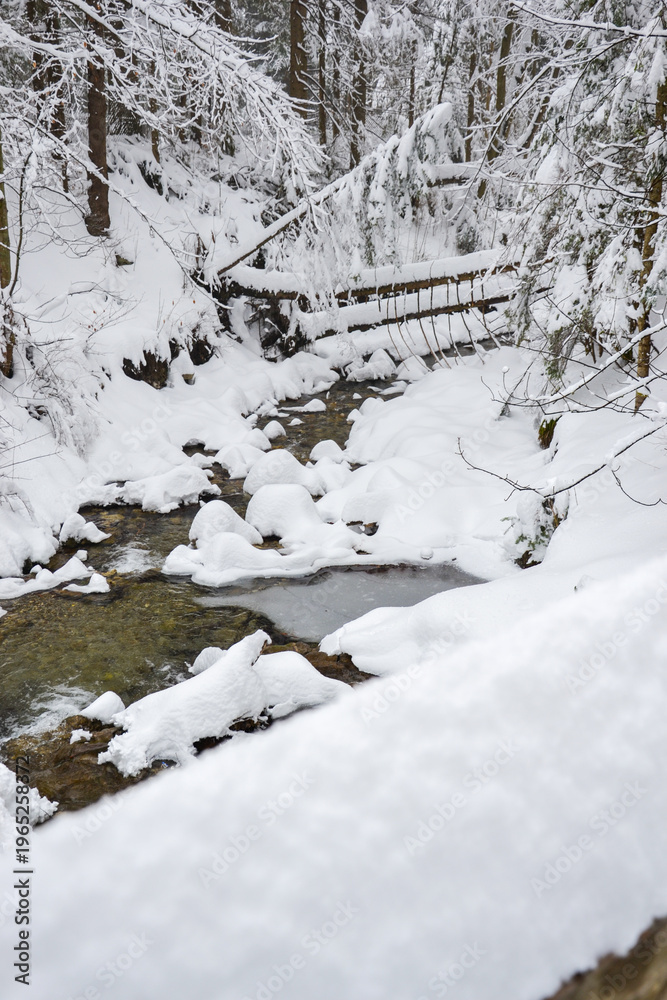 Naklejka premium Winter Mountain Stream Flowing Through Snowy Forest Landscape