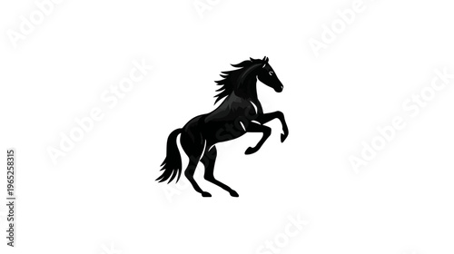 Silhouette of a black horse rearing up on its hind legs against a stark white backdrop