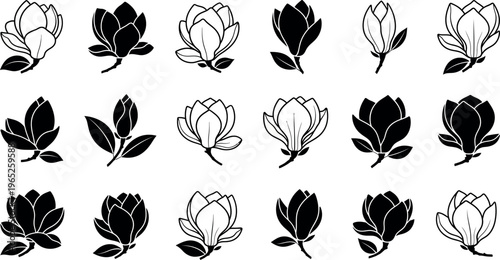 Collection of black and white magnolia flower