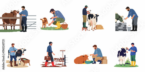 Collection of illustrations depicting a veterinarian and farmer performing health checks, feeding, and medical care for cows and calves in a dairy farm setting.