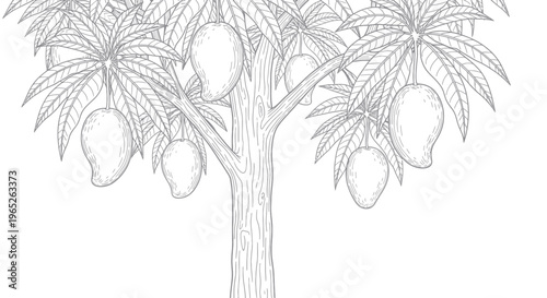 Mango Tree with Ripe Fruits and Leaves, Hand-Drawn Sketch Style