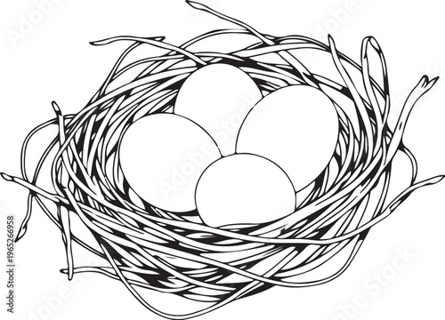 Four Bird Eggs in Nest Hand-drawn Sketch Drawing Vector Illustration, Line Linear Symbol Black and White Engraving, Isolated