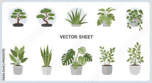 Collection of Potted Houseplants and Bonsai Trees, Vector Illustration