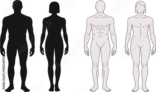 Human body silhouettes and anatomical outline drawings showing male and female forms with muscular, slim builds, posture, anatomy, and comparison