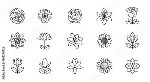 Collection of delicate line art floral illustrations in various styles.