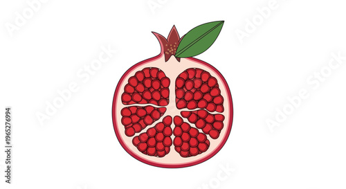 Pomegranate Fruit Cut Open Segments.