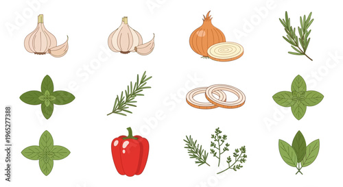 Variety of herbs and vegetables on display.