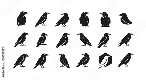 Collection of Silhouette Raven and Crow Icons.