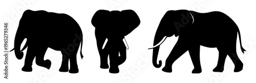 Elephant icon set with black silhouette on white backdrop featuring wildlife conservation, endangered species, iconography with high contrast and minimalist design