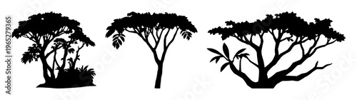 Rainforest canopy protection set with solid black icon on white background featuring eco, sustainability, nature with graphics and illustration