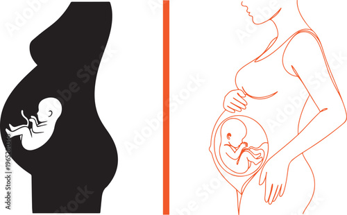 Flat vector icons showing silhouettes of a pregnant woman and a fetus in the womb, featuring both solid black and orange outline styles to illustrate prenatal development and maternal healthcare.
