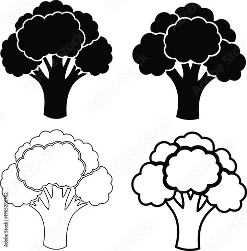 Four illustrations of cauliflower in different line art styles