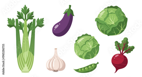 Assorted Fresh Vegetables: Celery, Eggplant, Cabbage, Garlic, Beetroot, Peas