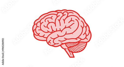 Illustration of a human brain with red outline