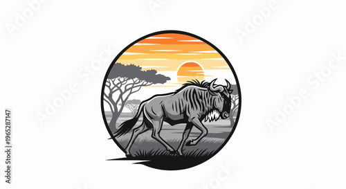 Wildebeest runs across savanna at sunset