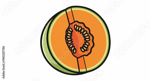Stylized cut cantaloupe with vibrant orange flesh and green rind