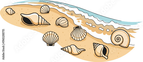 Illustrated collection of seashells on a sandy beach with gentle waves