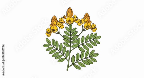 Illustration of bright yellow flowers and green leaves on a white background