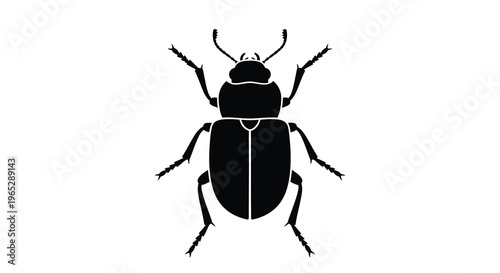 A stark black silhouette depicts a beetle viewed from directly above showcasing its body and legs high quality professional detailed modern