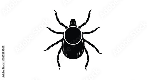 A stark black silhouette depicts a tick a small arachnid parasite viewed from directly above high quality professional detailed modern elegant