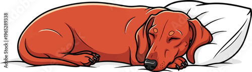 A contented dog rests its head on a plush pillow, eyes closed in peaceful slumber